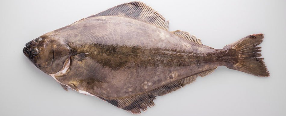 gf7