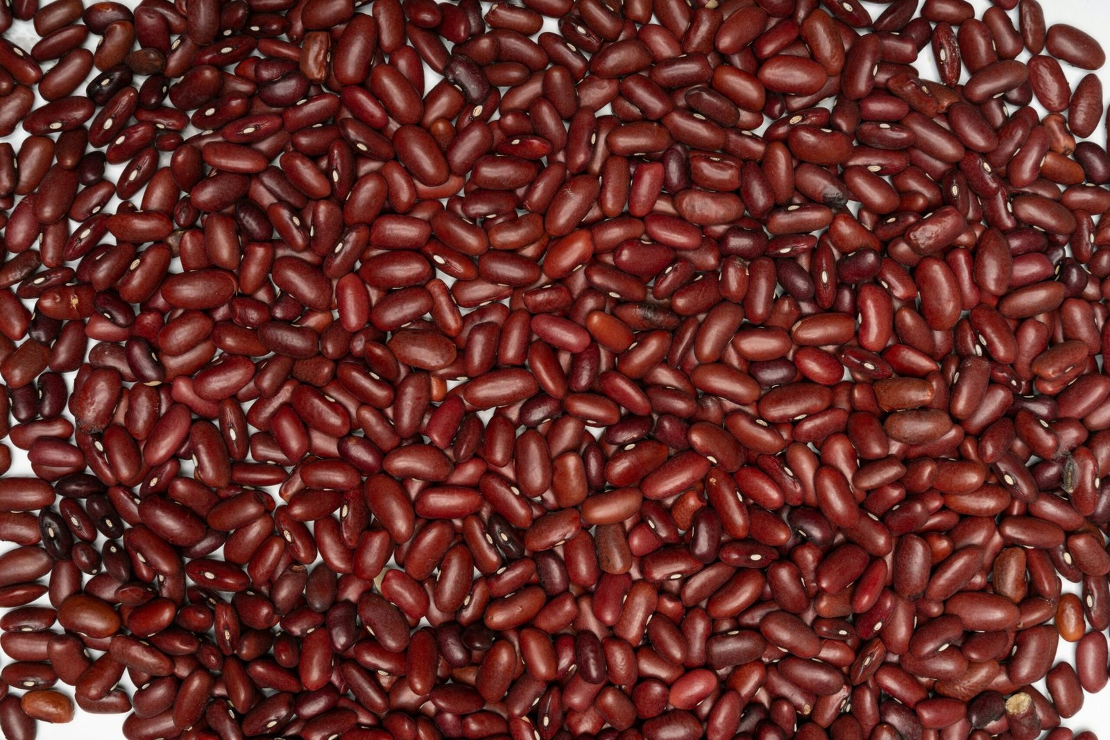 The Best Foods for Kidney Health: Fish, Meat, Seeds, Fruits, and Vegetables